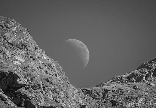 Monochrome